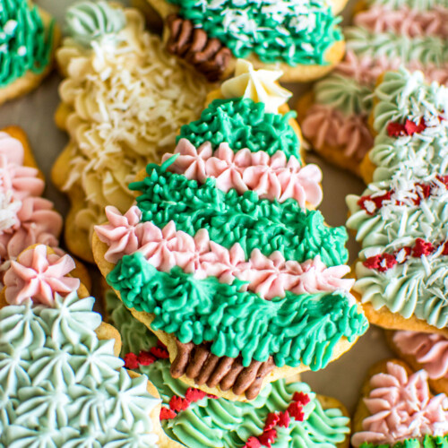 tree sugar cookies decorated with vibrant plant based frosting.