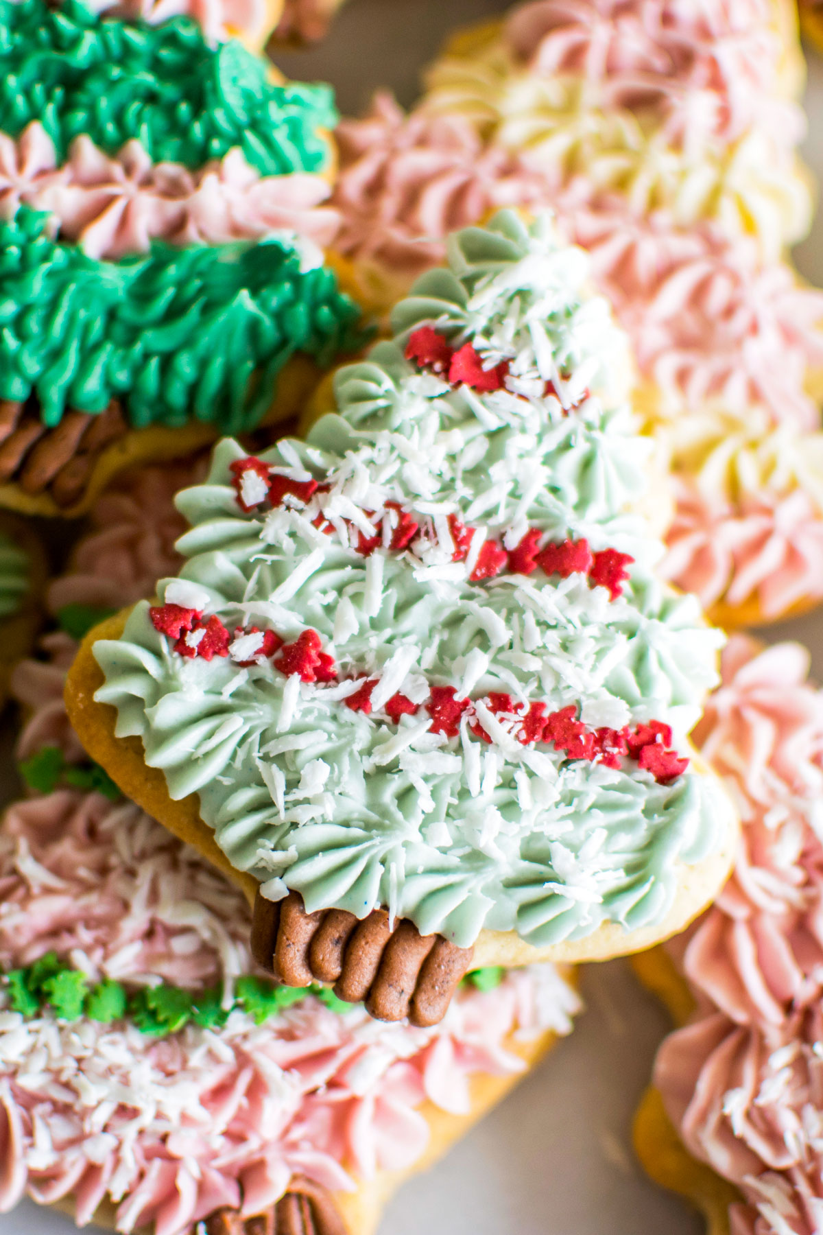 tree sugar cookies decorated with vibrant plant based frosting.