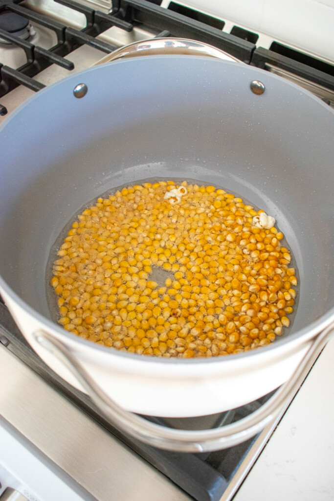 large stock pot with popcorn kernels in coconut oil with sugar sprinkled on top on the stovetop.