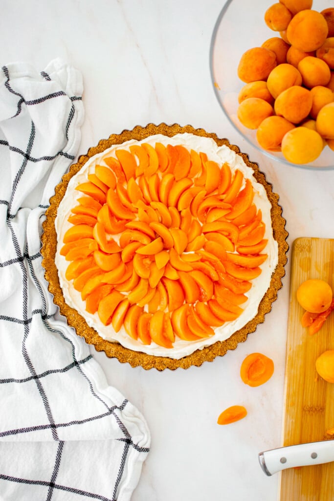 apricot cheesecake tart on a plate on a marble table with apricots all around.