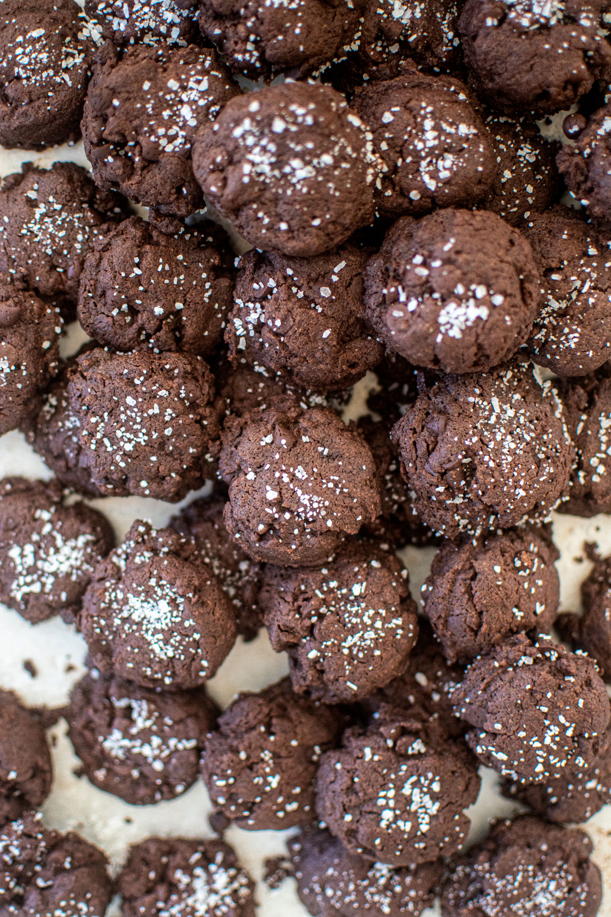 chocolate sea salt mini cookies on a baking sheet.
