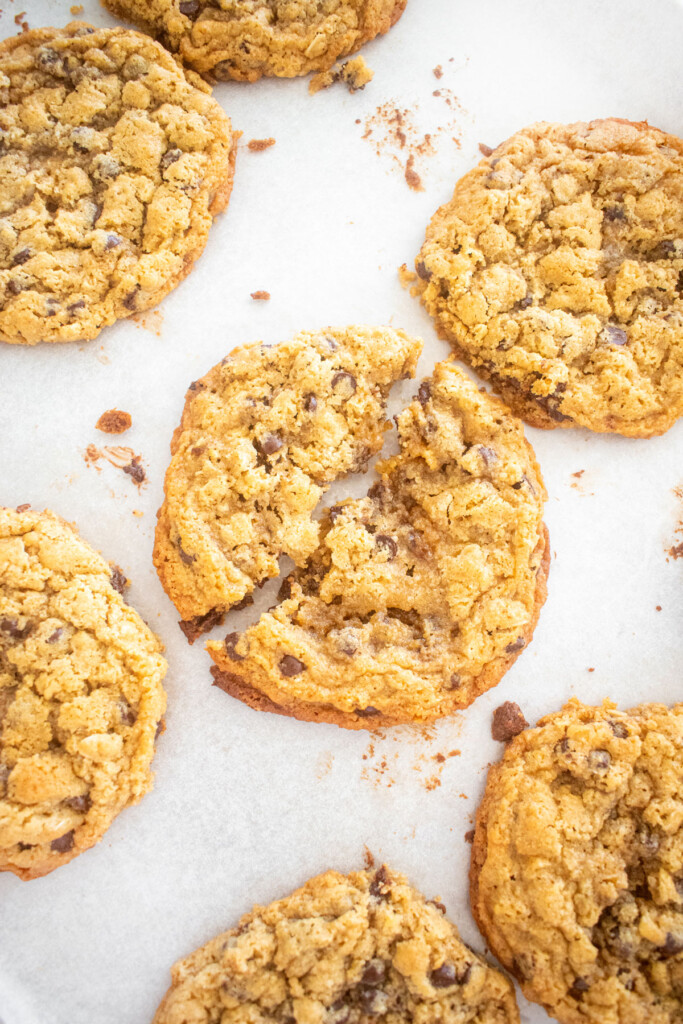 oatmeal cashew butter chocolate chip cookies on a baking sheet.
