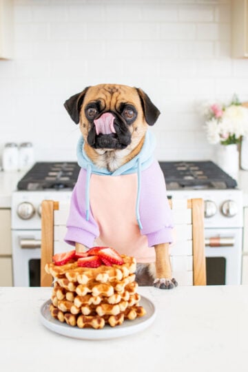 waffle recipe for dogs
