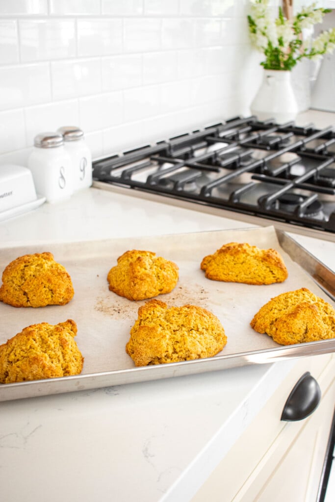 eggless pumpkin spice scones on a baking sheet on a white marble kitchen counter.