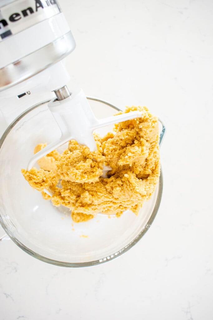 kamut flour biscotti cookie dough in a glass mixing bowl on a marble counter.