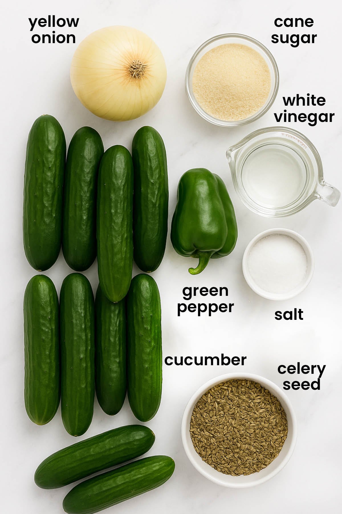 individual ingredients for refrigerator pickles laid out against a white background.
