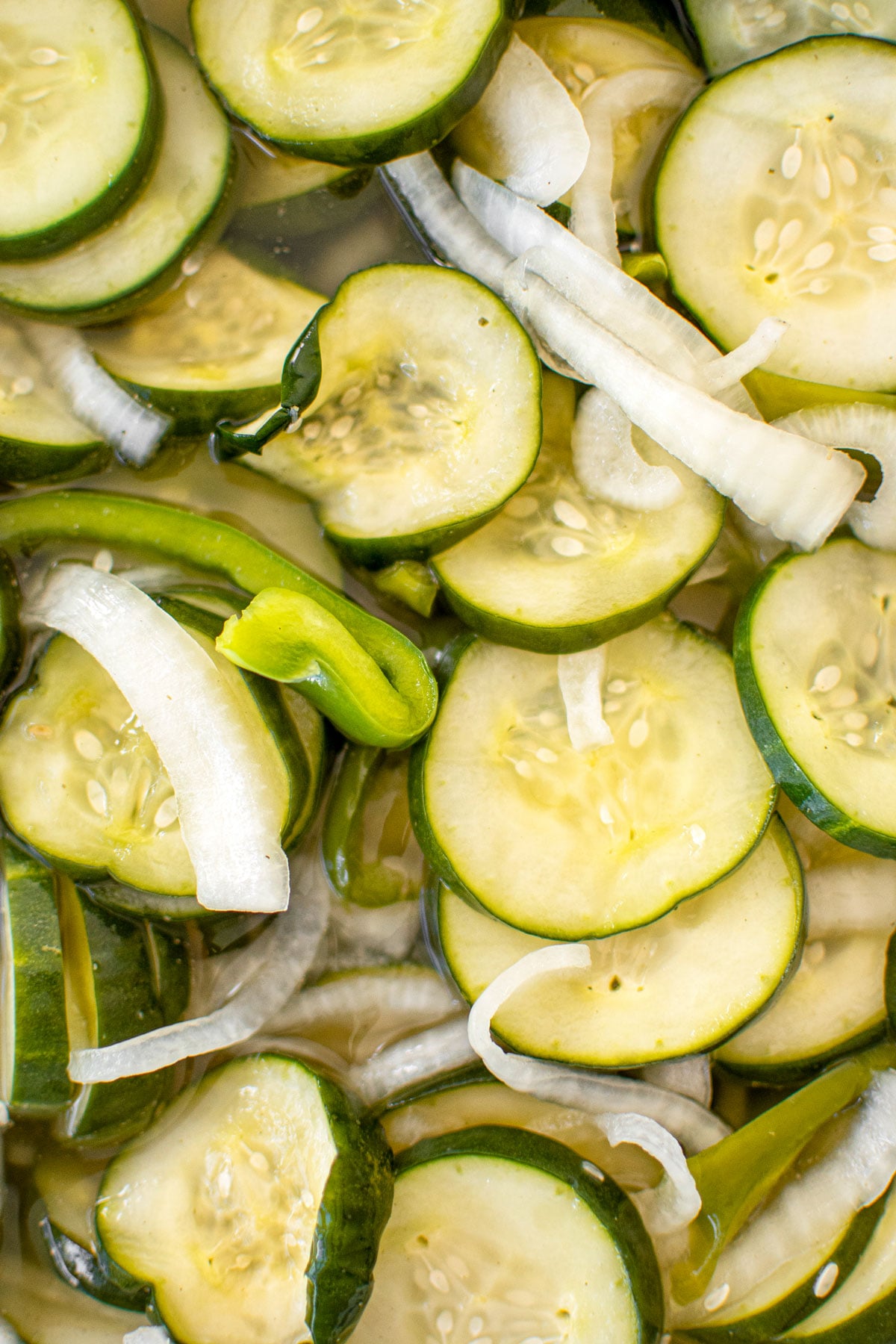 close up of refrigerator pickles with onions and green peppers.