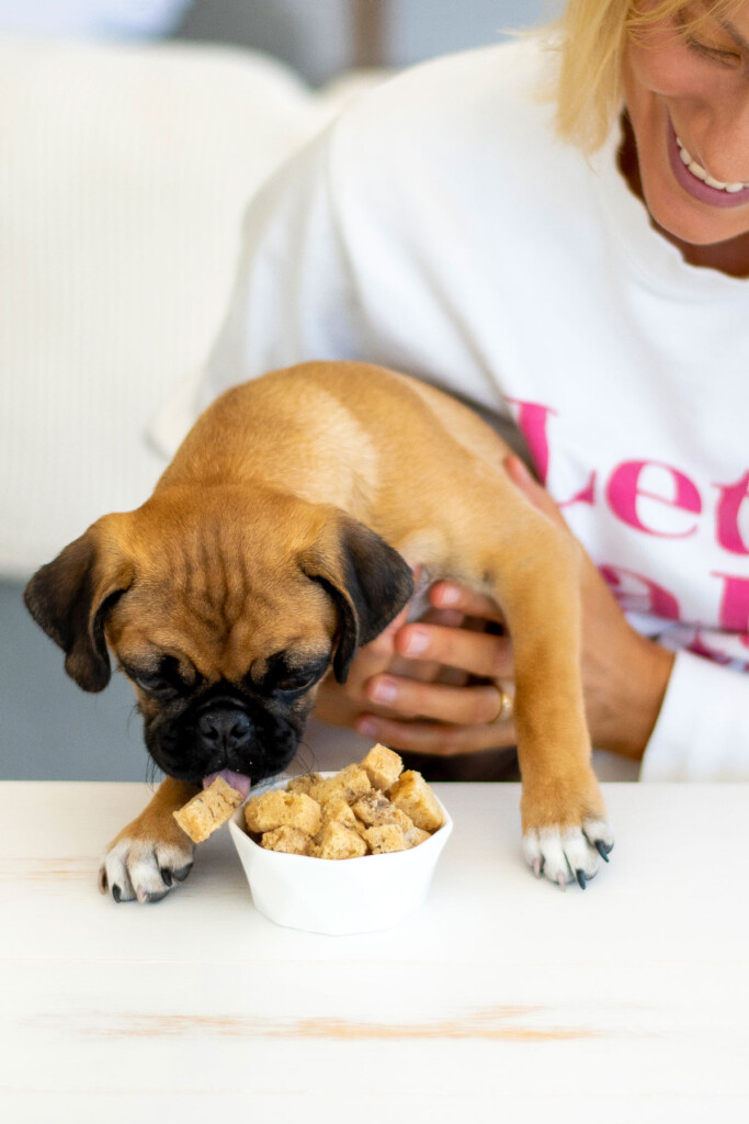 pug at table with woman eating a bowl of peanut butter banana dog treats.