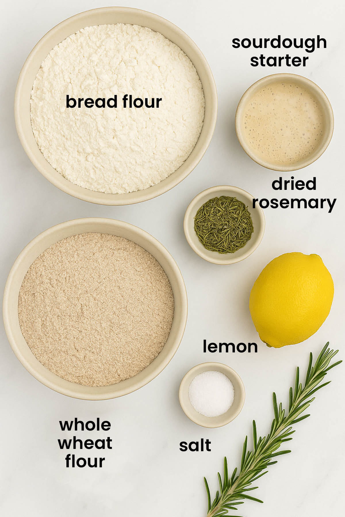 individual ingredients for lemon rosemary sourdough bread laid out against a white background.