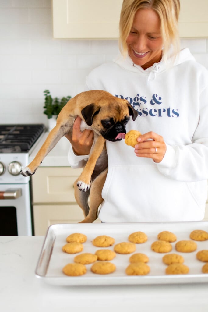 pug puppy eating peanut butter dog cookies in the arms of a woman standing at kitchen counter.