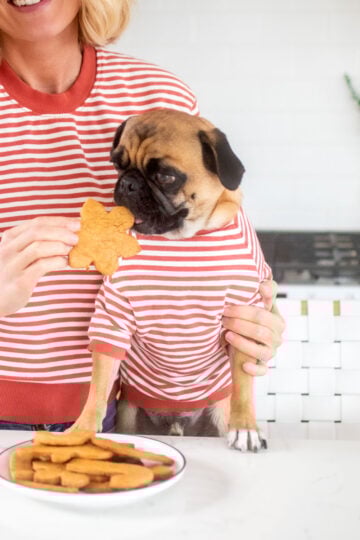 homemade christmas dog cookies