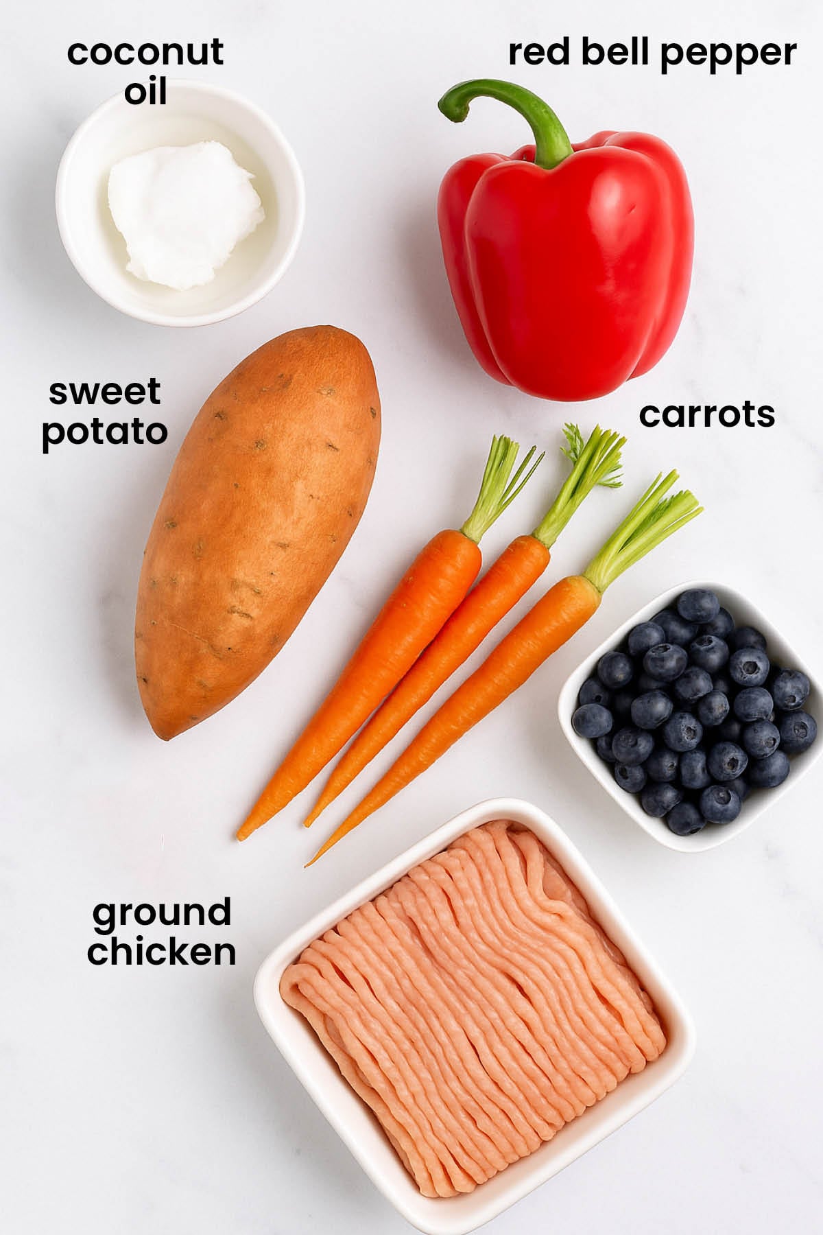 individual ingredients for chicken dinner recipe for dogs laid out against a white background.