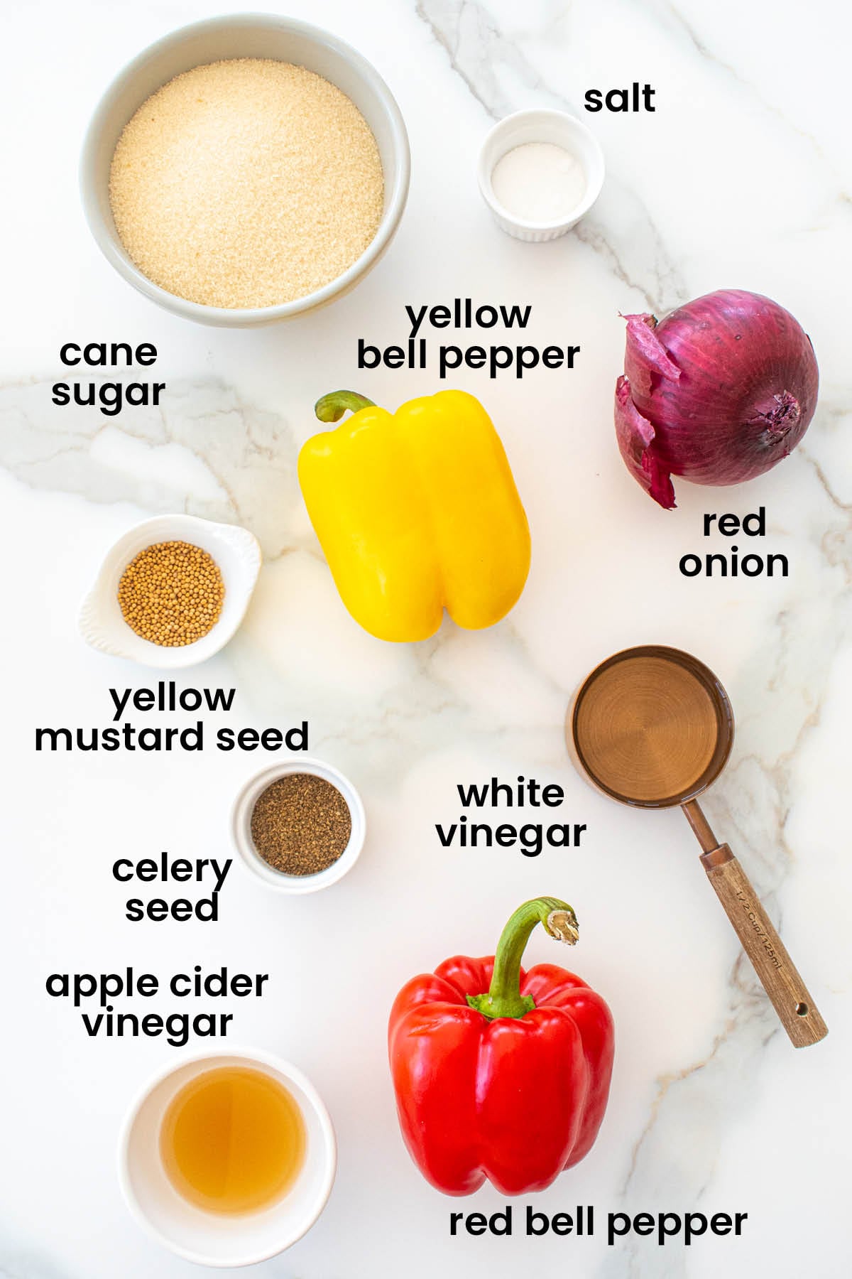 individual ingredients for pickled red onions and peppers laid out against a white background.