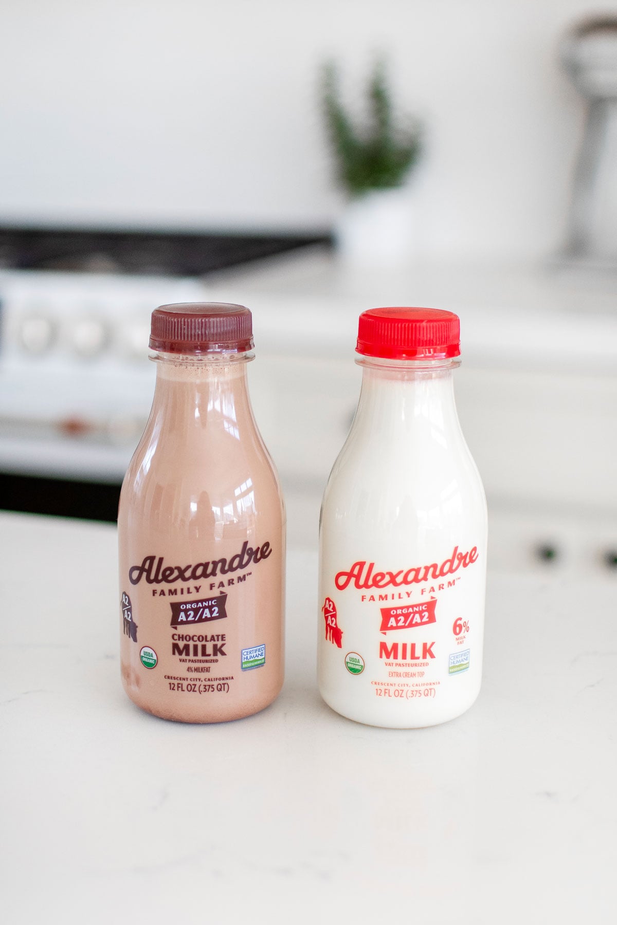 alexandre family farms chocolate milk and regular milk on the kitchen counter.