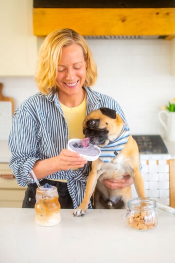 woman and pug in the kitchen with an iced blueberry latte and a blueberry pup cup, pug eating pup cup.