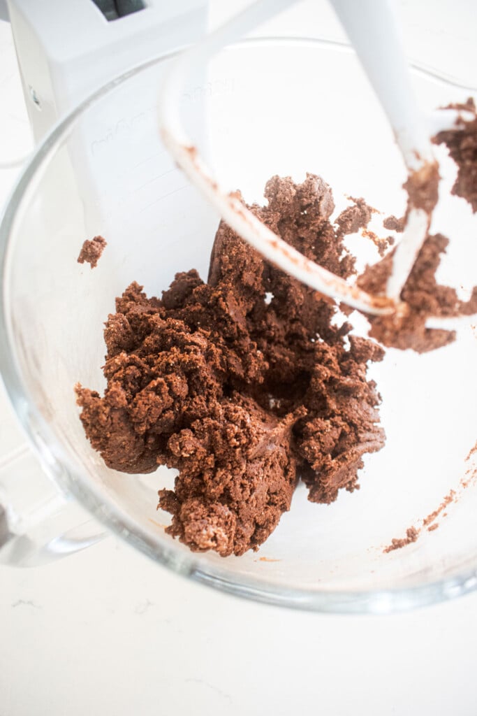 chocolate espresso biscotti cookie dough in a glass mixing bowl.