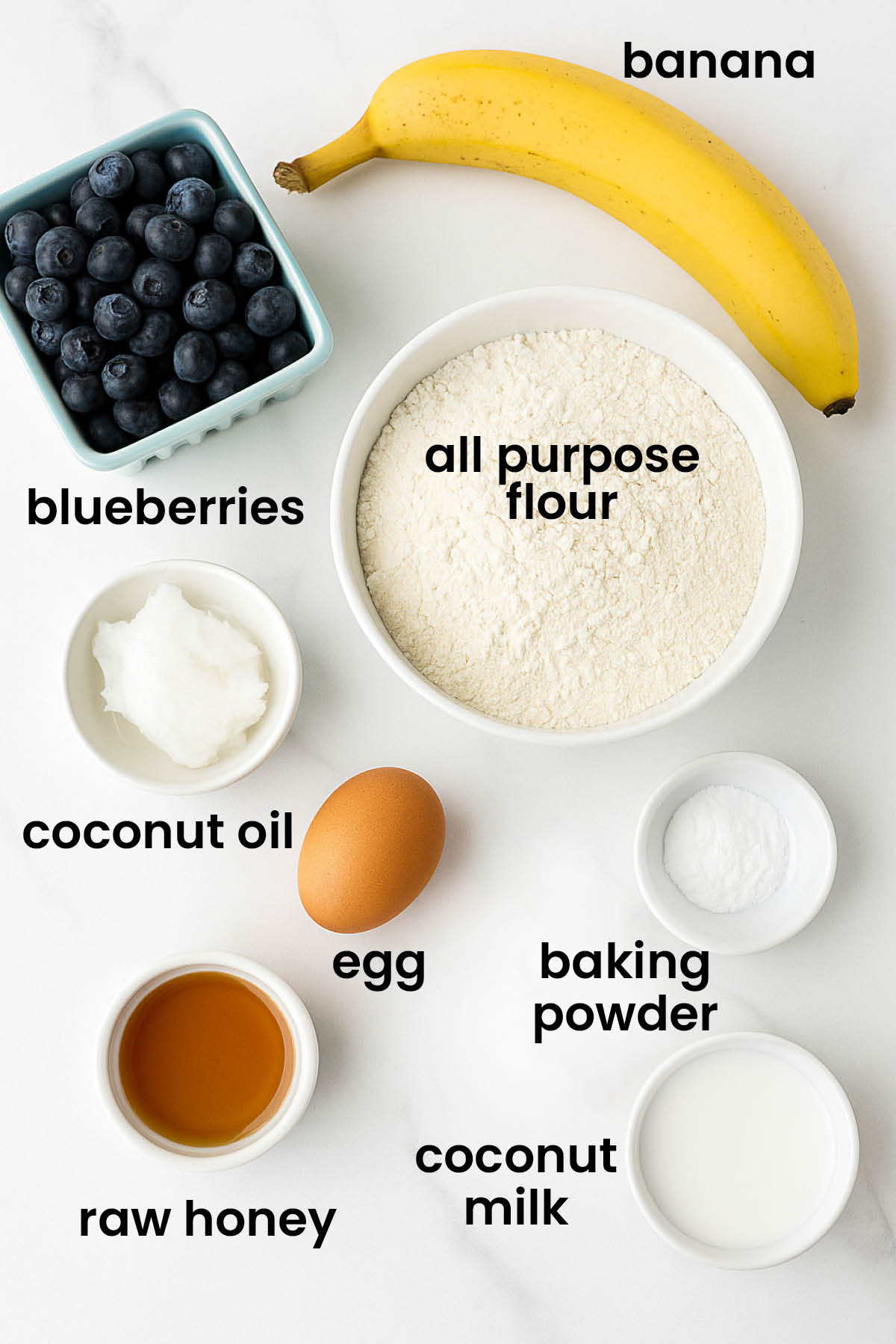 individual ingredients for blueberry pancakes for dogs laid out against a white background.