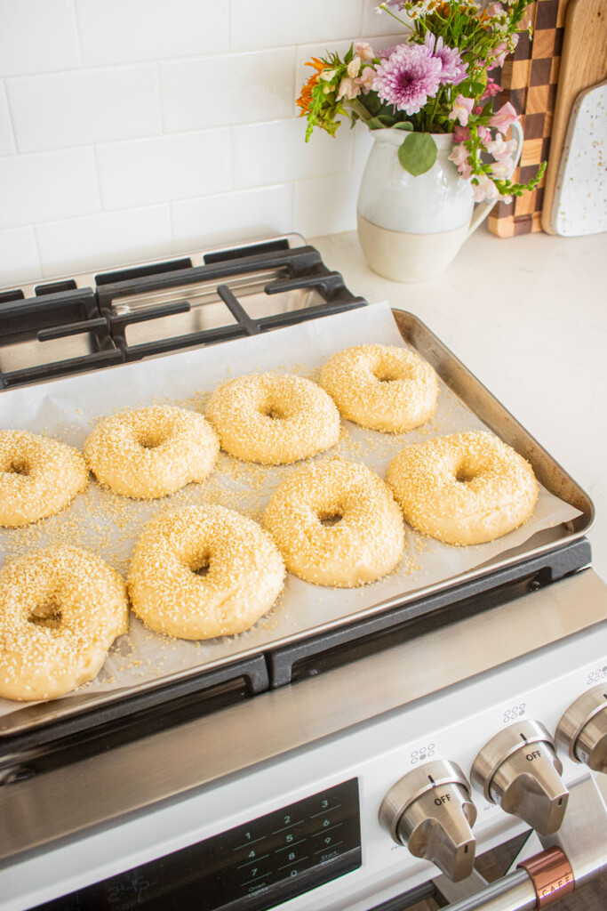 boiled sesame bagels with sesame seeds on a baking sheet on top of an oven.
