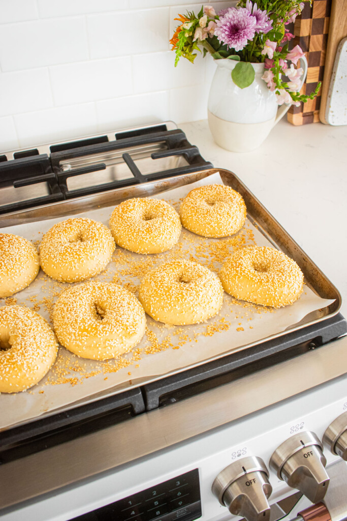 baked homemade sesame bagels on a baking sheet cooling on top of an oven.
