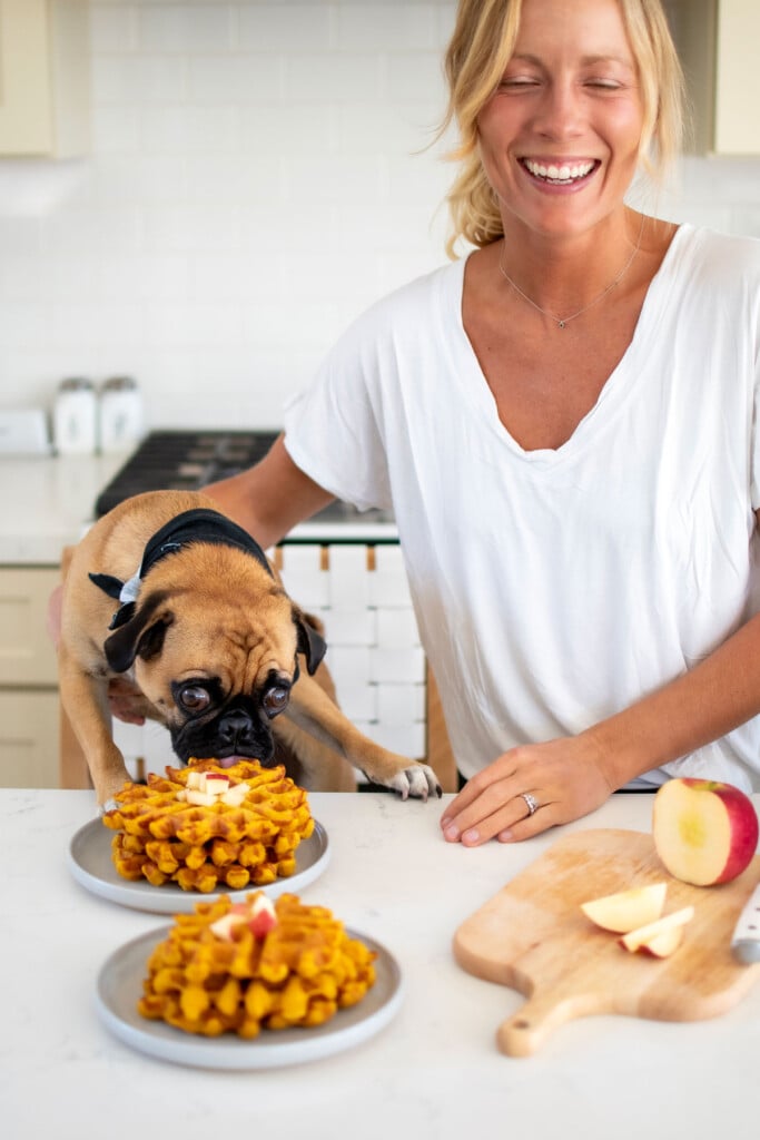 woman and pug in the kitchen eating pumpkin waffles for dogs at the counter.
