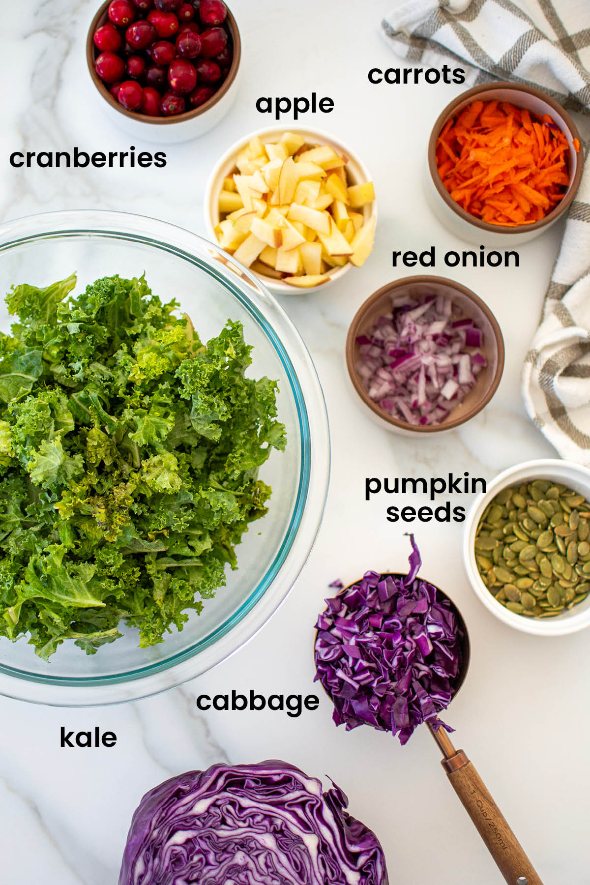 individual ingredients for simple cranberry kale salad with homemade dressing laid out against a white background.