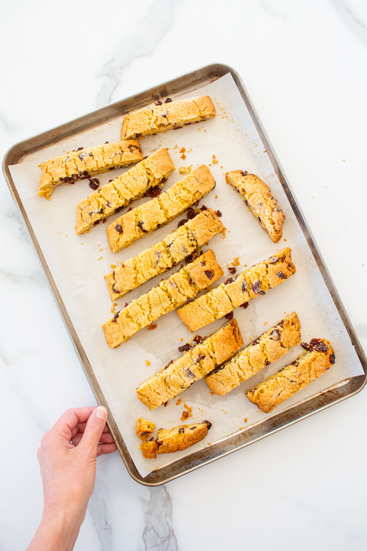 cranberry orange biscotti with sourdough discard cut into pieces on a baking sheet on a marble counter.