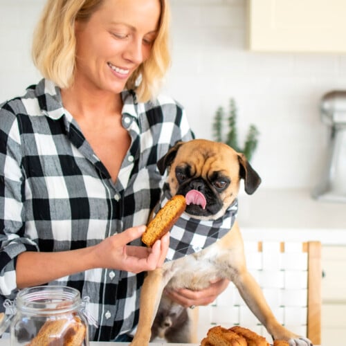 woman and pug in matching black and white plaid shirts eating peanut butter biscotti for dogs at the kitchen counter.