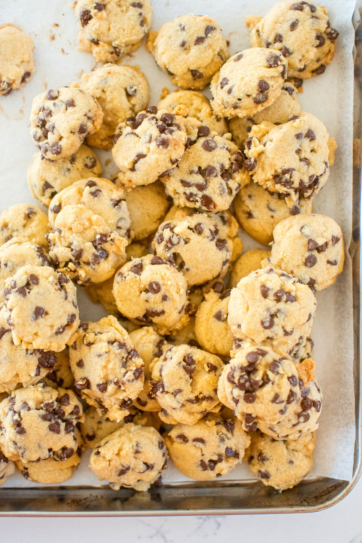 brown sugar chocolate chip mini cookies on a baking sheet.