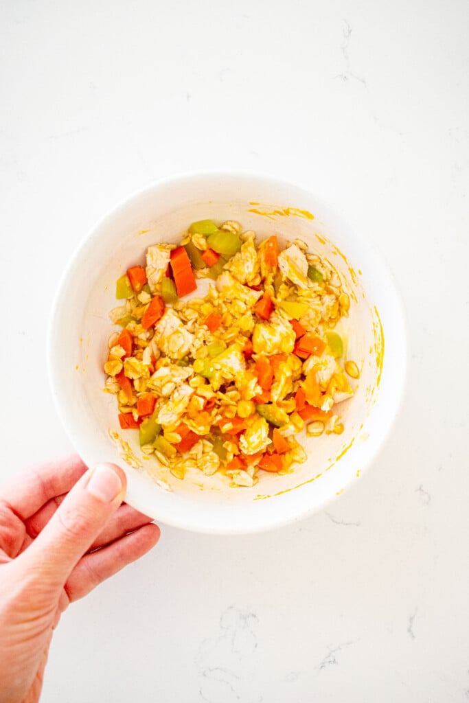 chicken and pumpkin dinner for dogs in a dob bowl on a white marble counter.