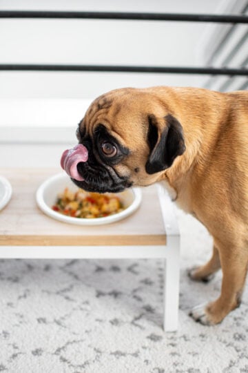 chicken and pumpkin dinner for dogs