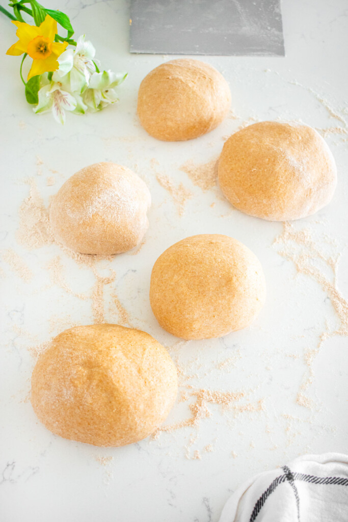 sourdough discard whole wheat sandwich bread dough divided into 5 equal portions formed into round smooth balls on a white marble counter.