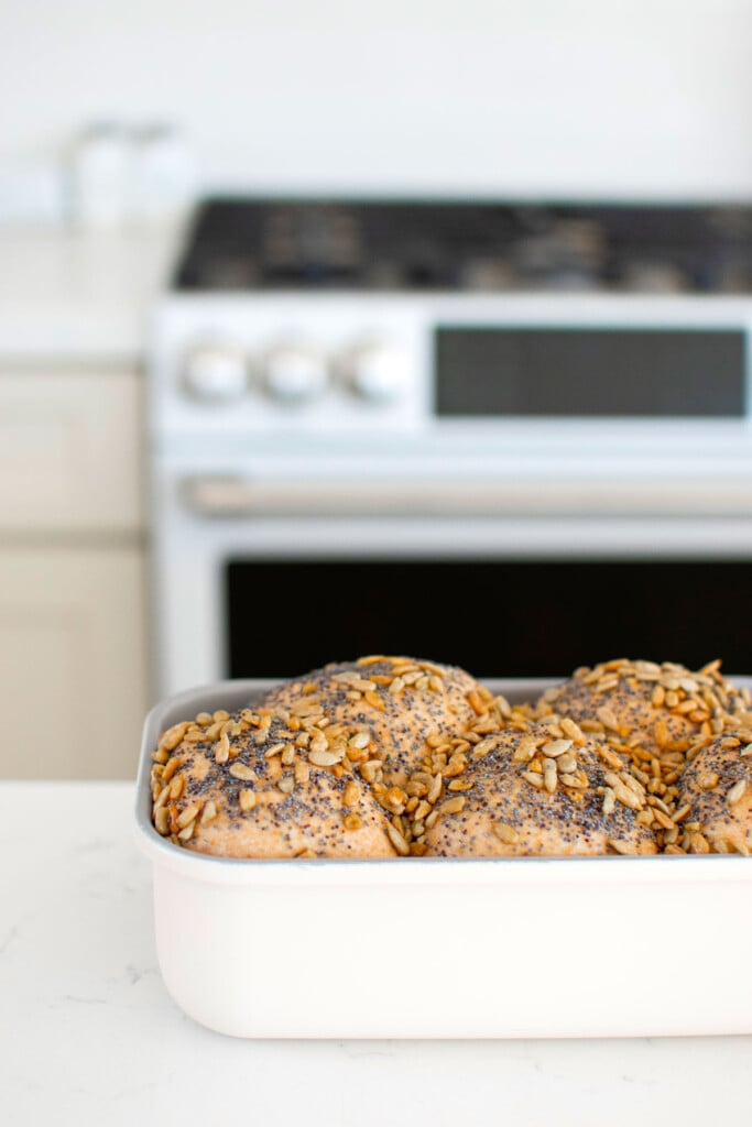 sourdough discard whole wheat sandwich bread dough in a loaf pan on a white marble counter.
