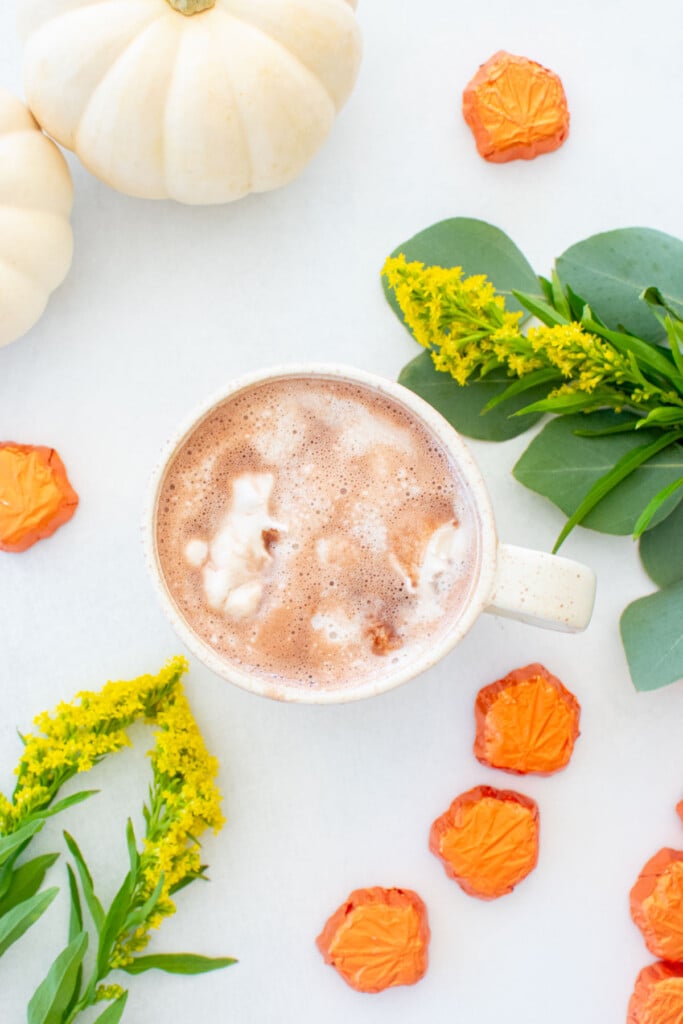 coconut hot chocolate with vegan whipped cream in a mug on a white table with fall pumpkins and flowers.