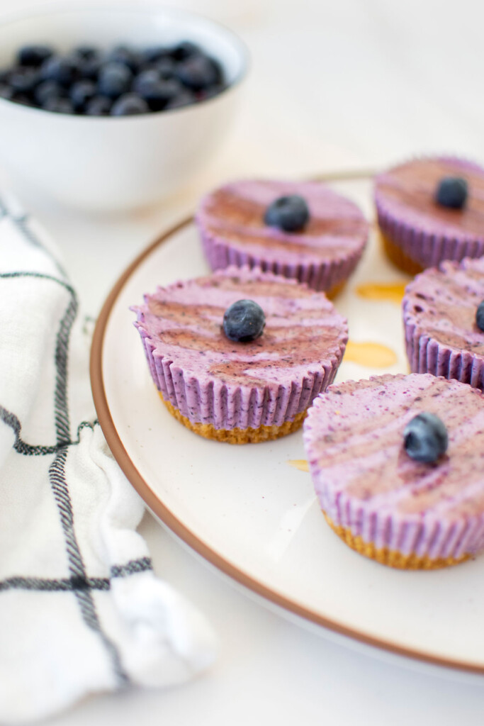 mini blueberry cheesecakes for dogs with a drizzle of honey and a fresh blueberry on a white plate on a marble countertop.