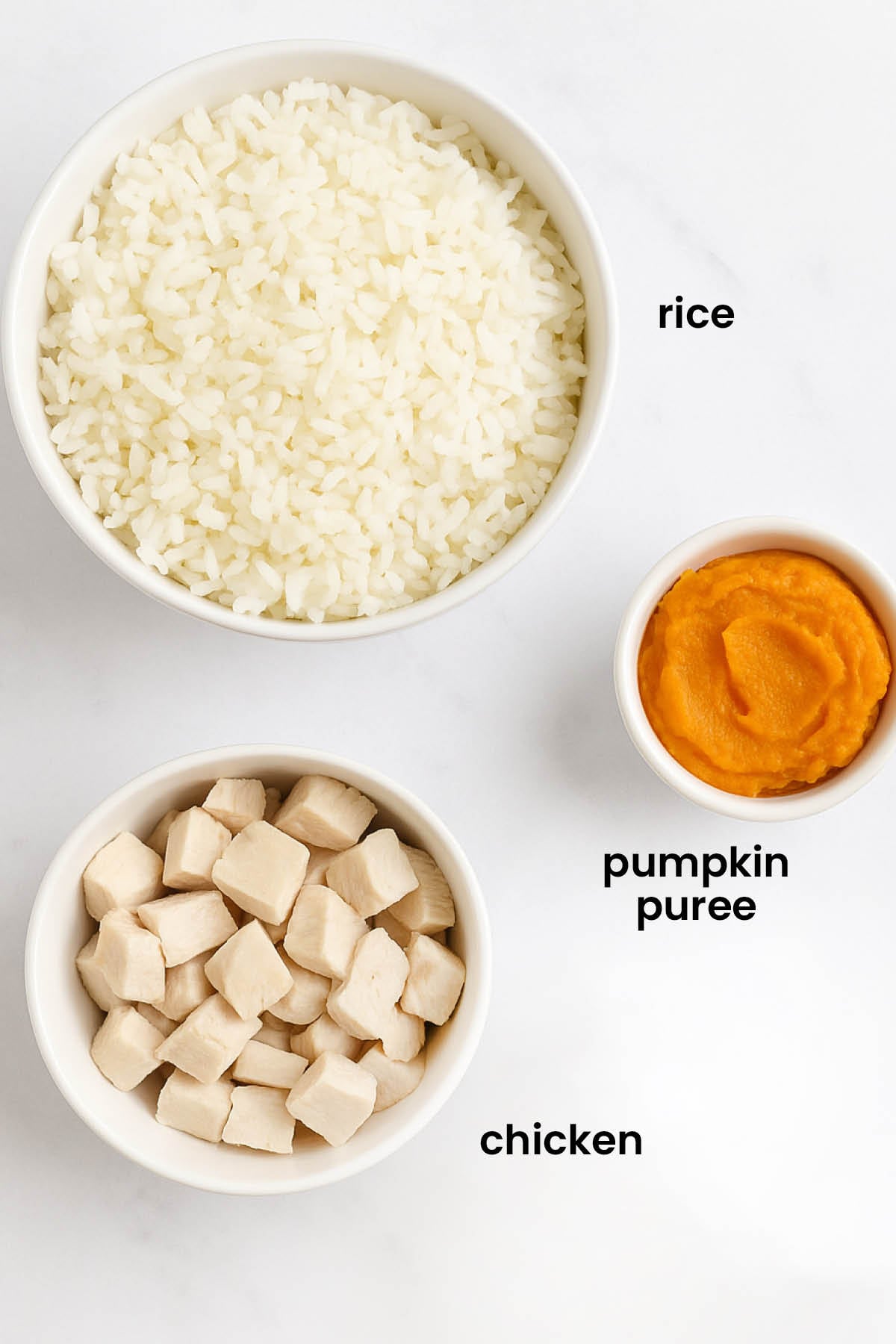 Bland Diet for Dogs With Upset Stomach: Ultimate Guide