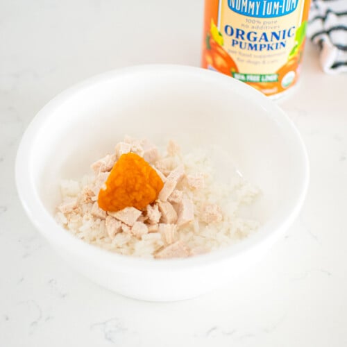 plain chicken, white rice, and pumpkin in a dog bowl on the counter.