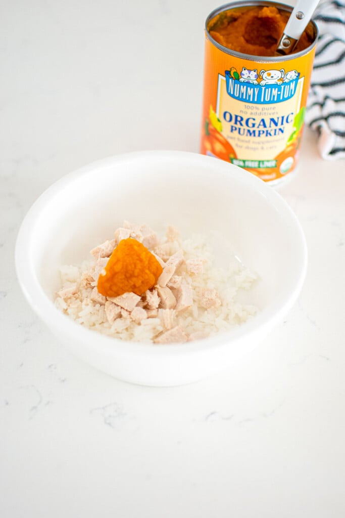 plain chicken, white rice, and pumpkin in a dog bowl on the counter.