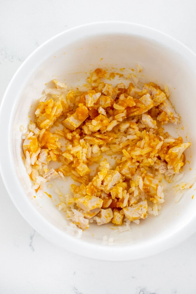 plain chicken, white rice, and pumpkin puree mixed together in a dog bowl for dog food recipe for upset stomach.