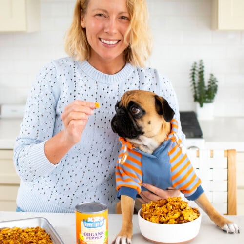 woman and pug in kitchen, woman feeding pug pumpkin granola for dogs.