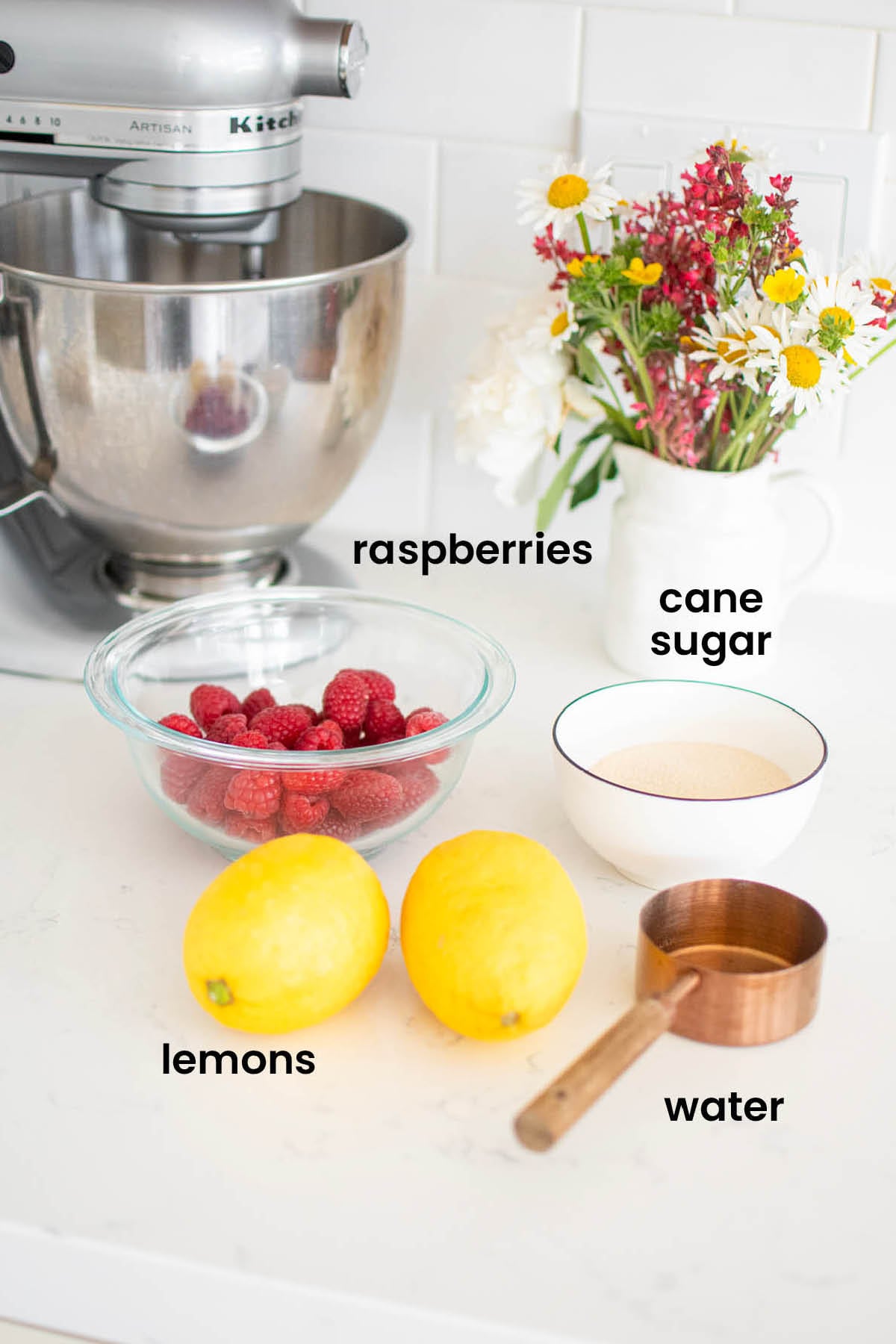 individual ingredients for organic pink lemoande laid out against a white background.
