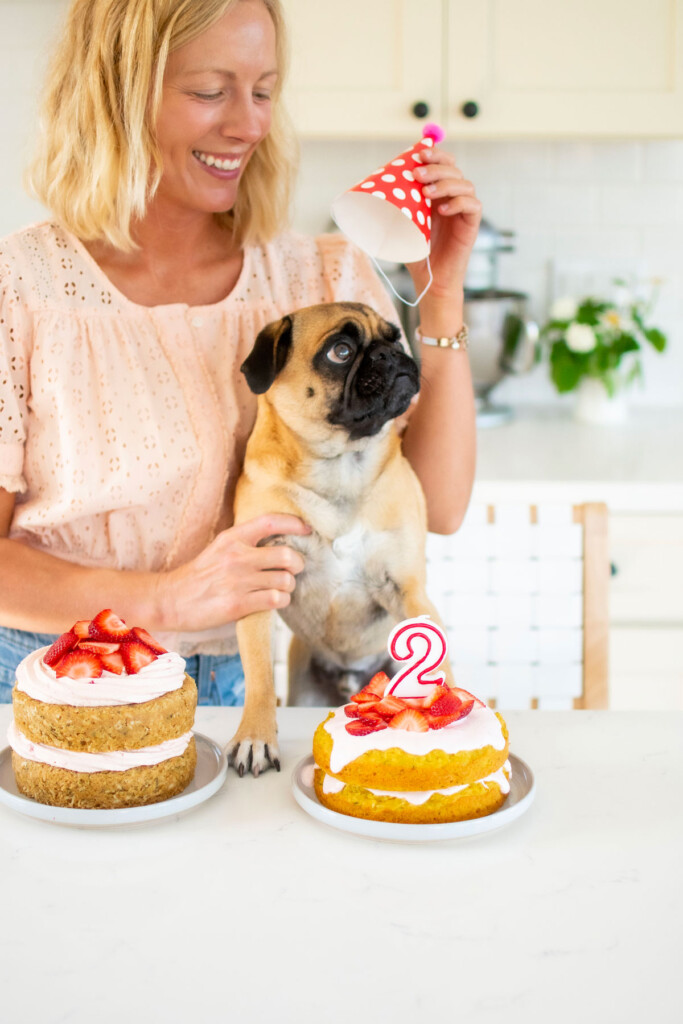 woman and pug in kitchen with two birthday cakes in front of them, woman trying to put birthday hot on pug.