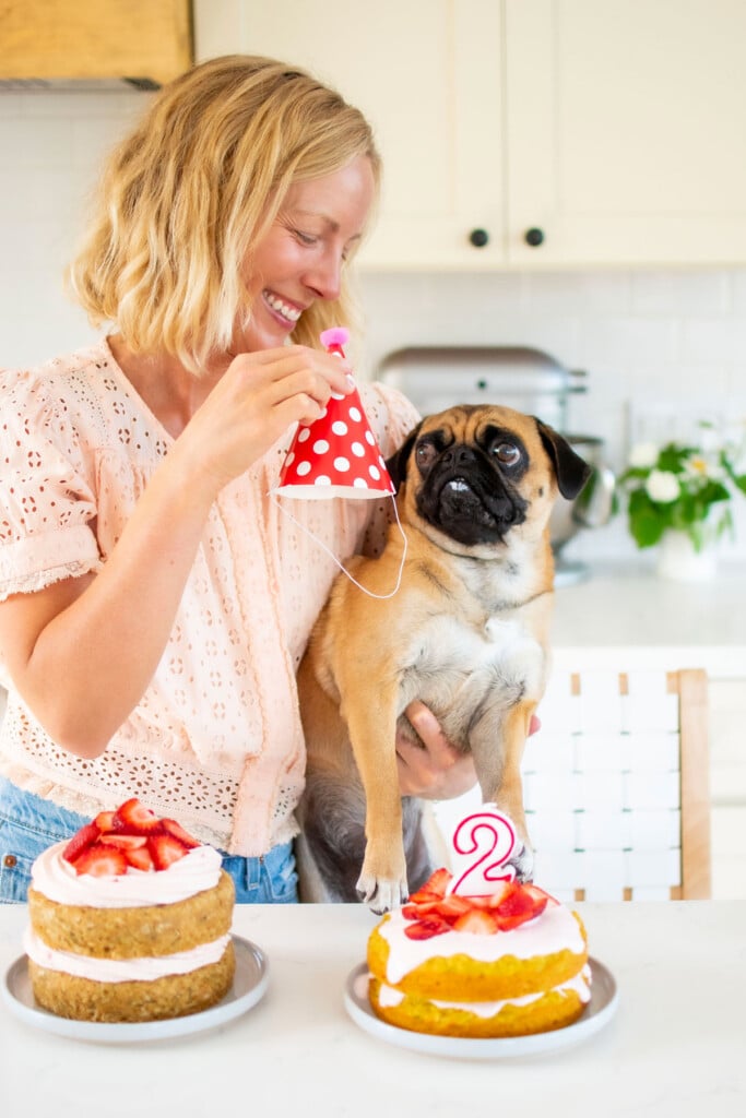 woman and pug in kitchen with two birthday cakes in front of them, woman trying to put birthday hot on pug.