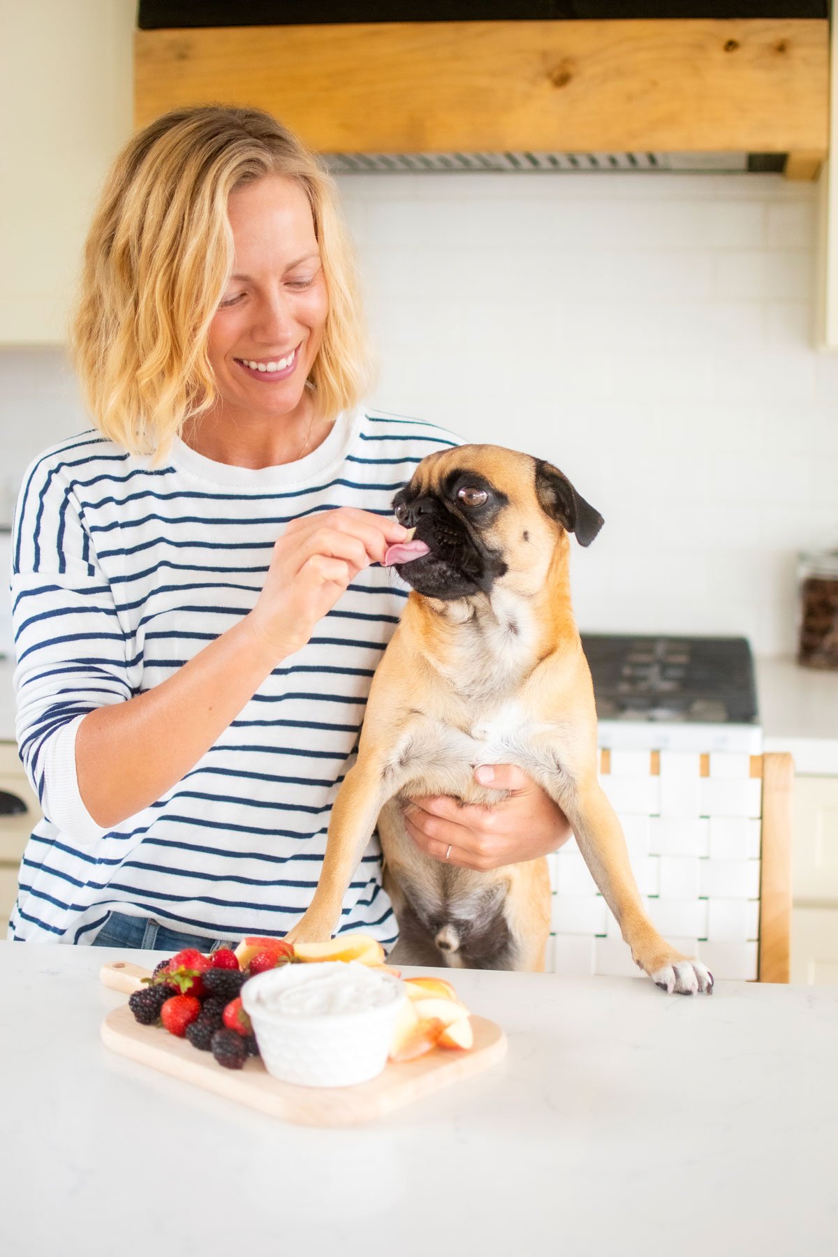 woman giving pug dog friendly whipped cream in the kitchen.