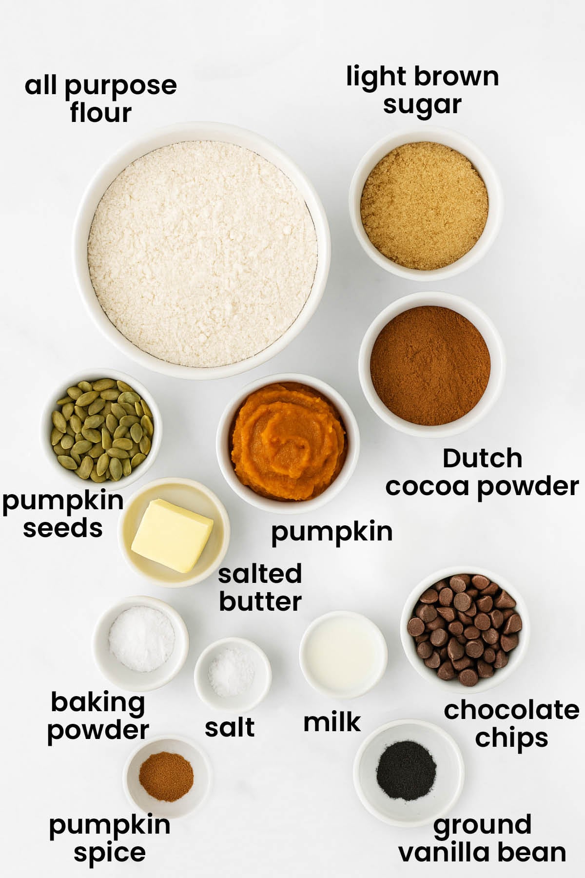 individual ingredients for double chocolate pumpkin cookies laid out against a white background.