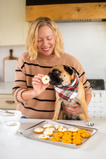 woman feeding pug pumpkin donuts for dogs at the kitchen counter.