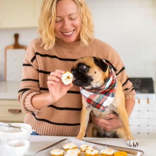woman feeding pug pumpkin donuts for dogs at the kitchen counter.