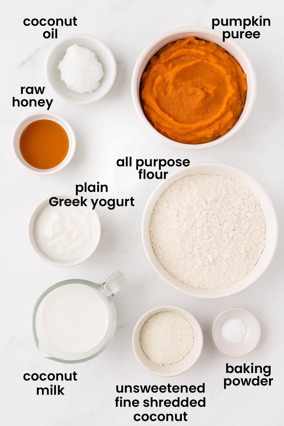 individual ingredients for pumpkin donuts for dogs laid out against a white background.