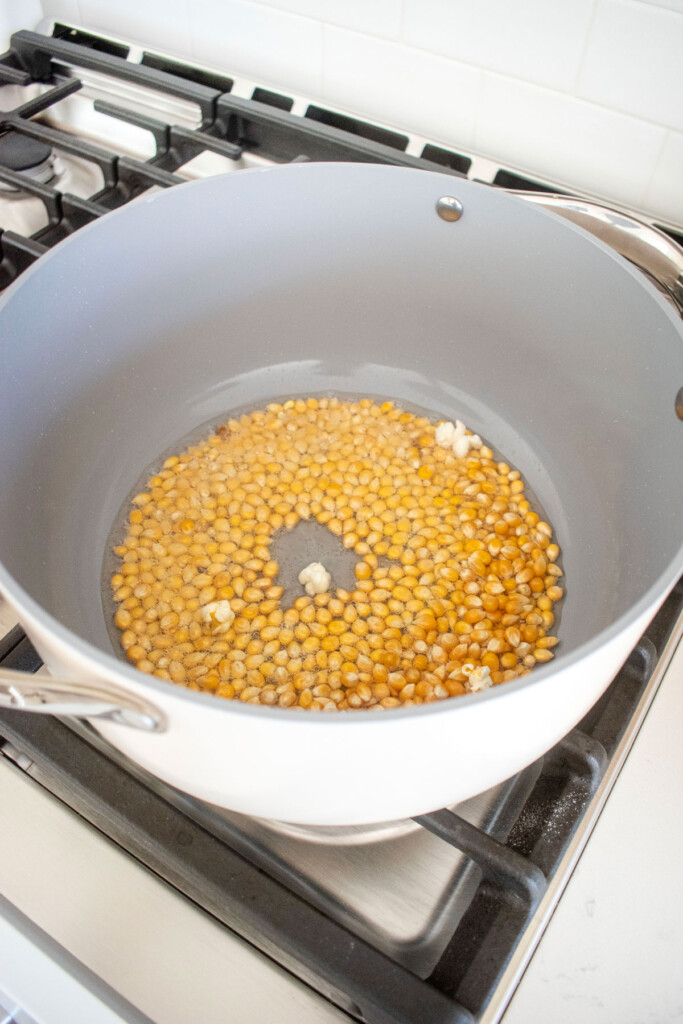 popcorn kernels with coconut oil in a large stock pot on the stovetop.