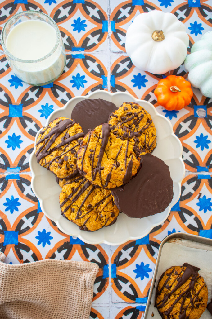 ruffle plate with chocolate dipped pumpkin cookies piled high on a tile table with a glass of milk and pumpkins.