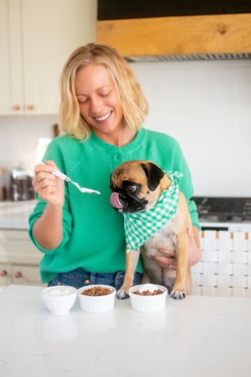 woman feeding pug apple crisp for dogs at the kitchen counter.